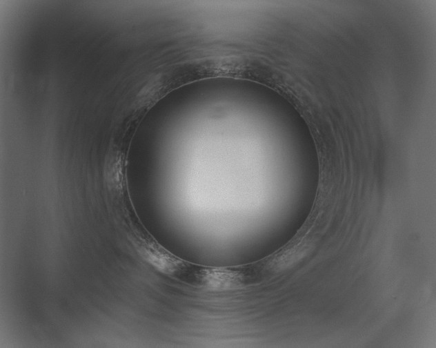 X0000075350336200609081156