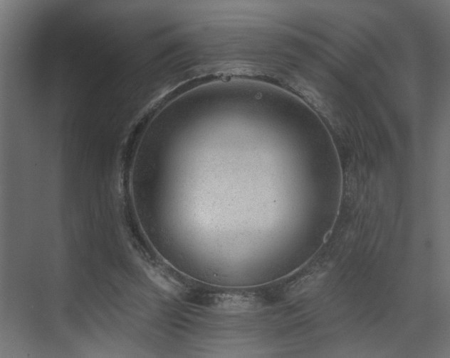 X0000075350347200609081155