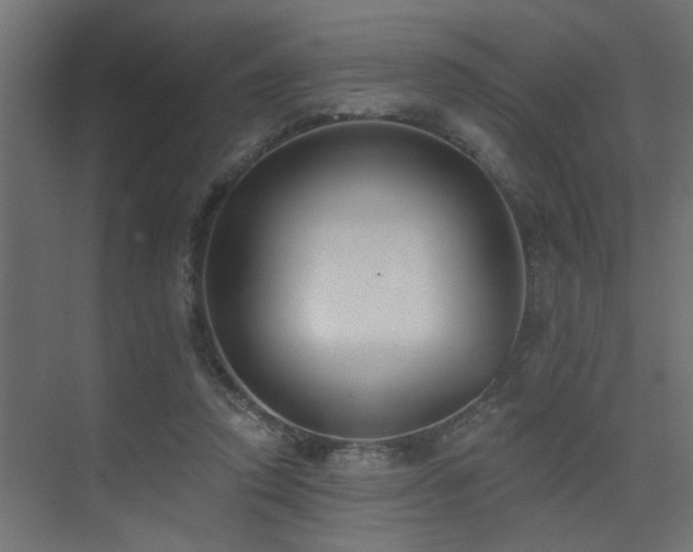 X0000075350354200609081155