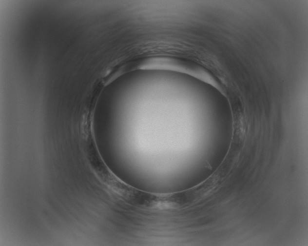 X0000075350360200609081155