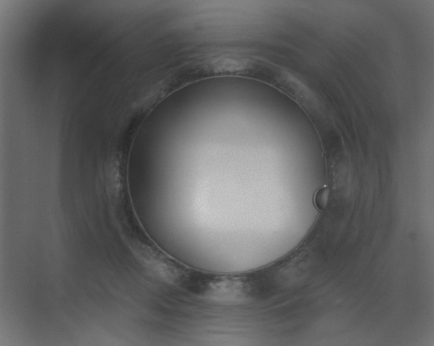 X0000075350362200609081155