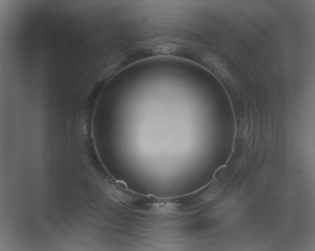 X0000075350363200609081155