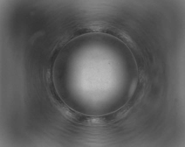 X0000075350365200609081155