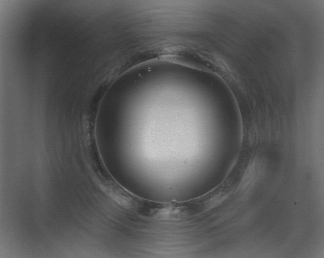 X0000075350366200609081155