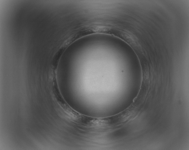 X0000075350367200609081155