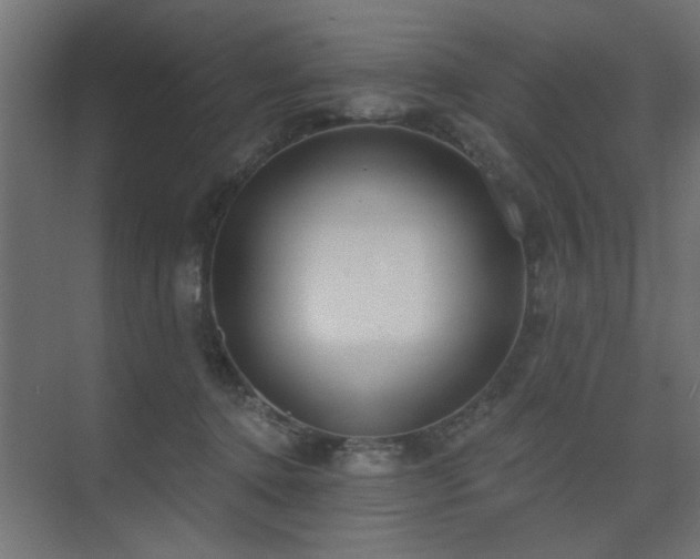X0000075350368200609081155