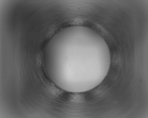 X0000075350370200609081155