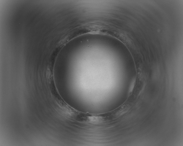 X0000075350371200609081155