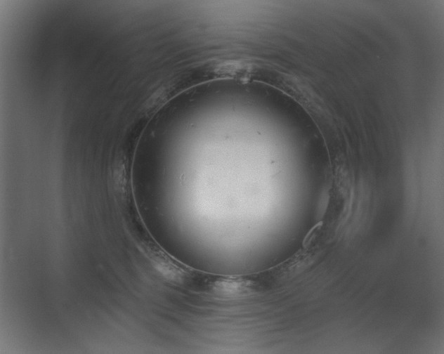 X0000075350375200609081156