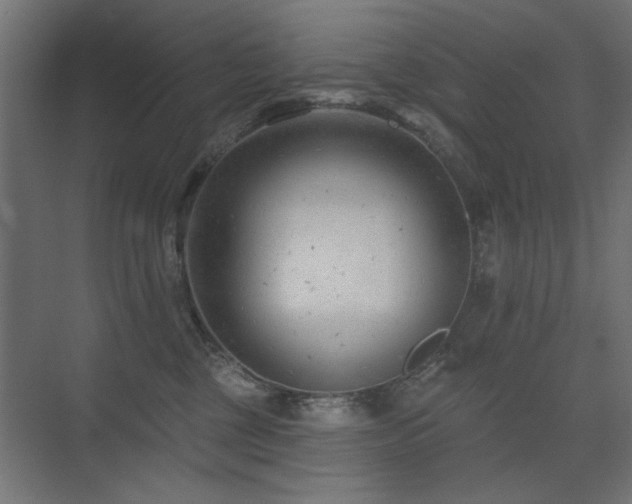 X0000075350377200609081156
