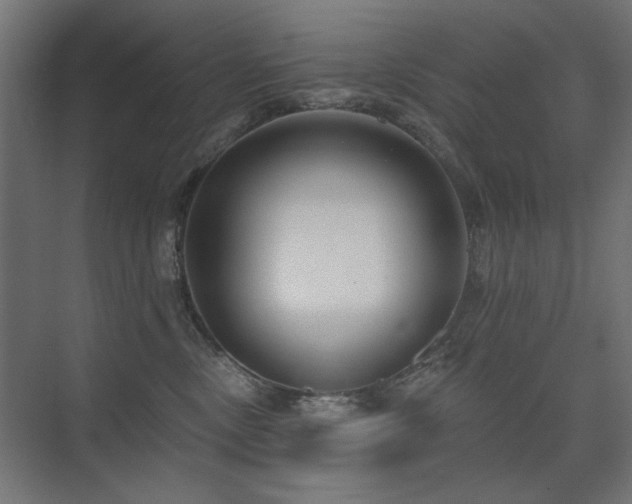 X0000075350378200609081156