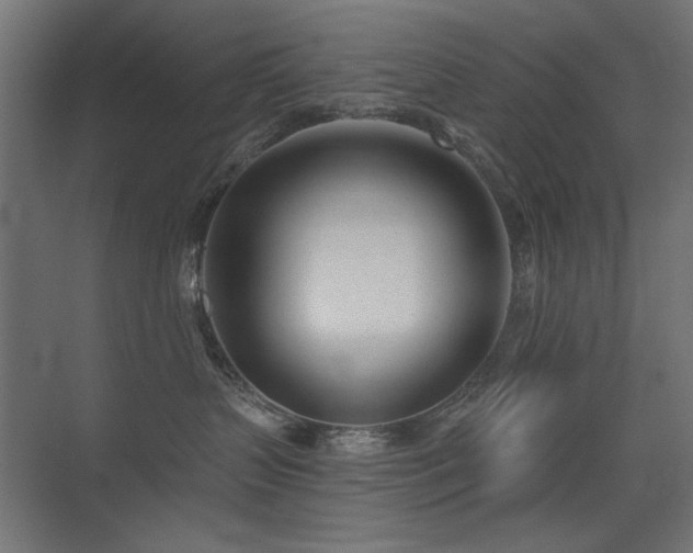 X0000075350383200609081156