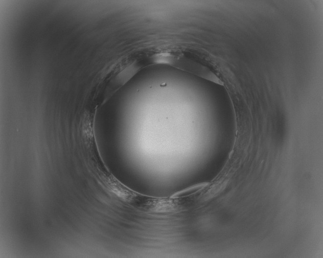 X0000075350384200609081156