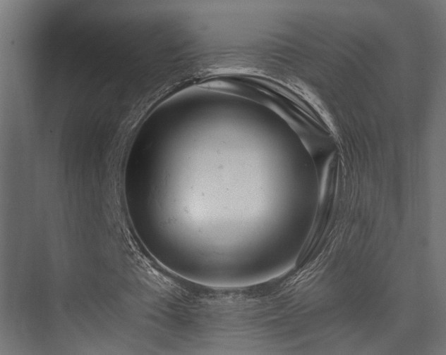 X0000075350385200609081155