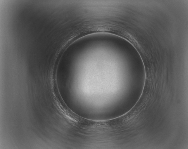 X0000075350386200609081155