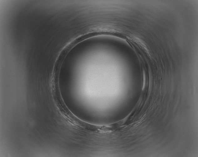 X0000075350388200609081155