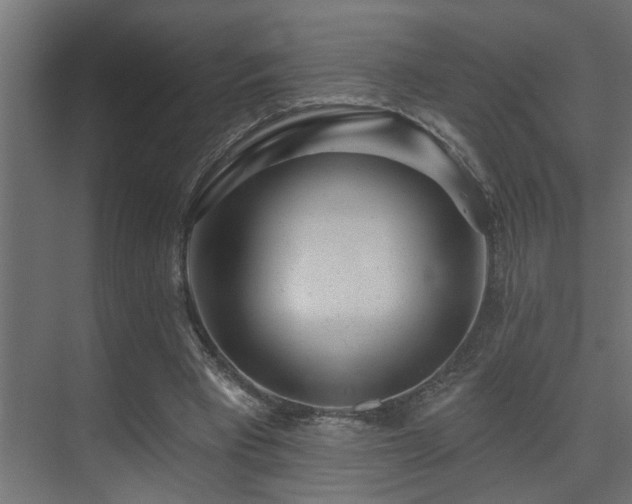 X0000075350393200609081155