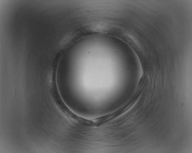 X0000075350404200609081155
