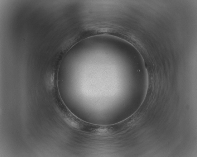 X0000075350406200609081155
