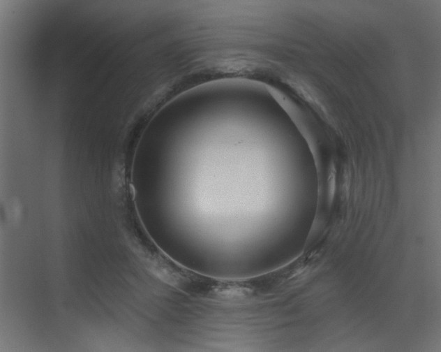 X0000075350407200609081155