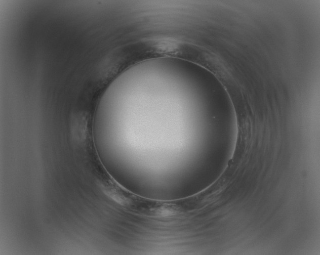 X0000075350412200609081154