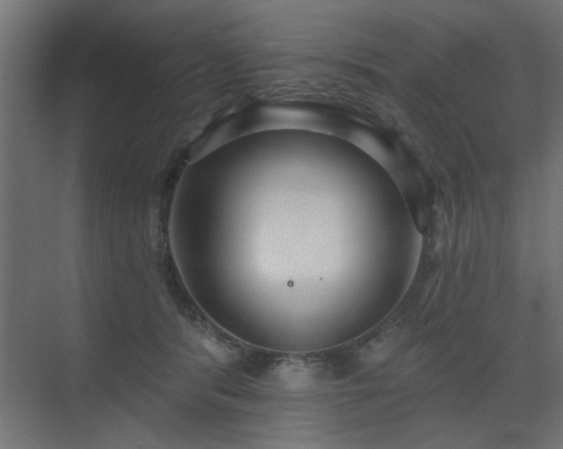 X0000075350416200609081154