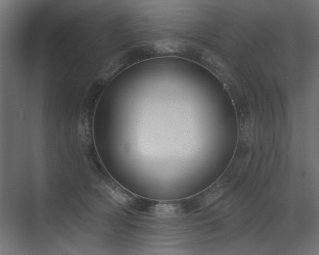 X0000075350418200609081154