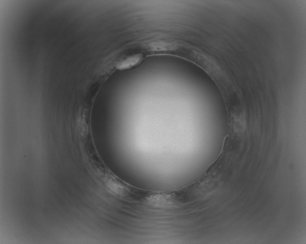 X0000075350422200609081154