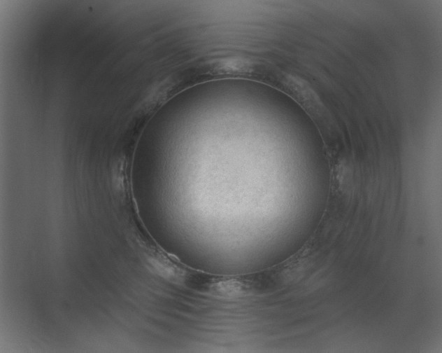 X0000075350423200609081154