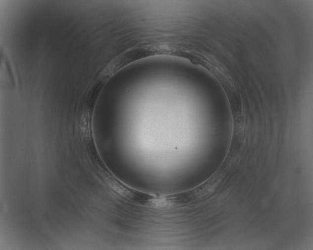 X0000075350425200609081154