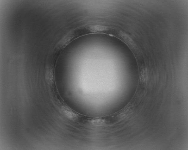 X0000075350426200609081154