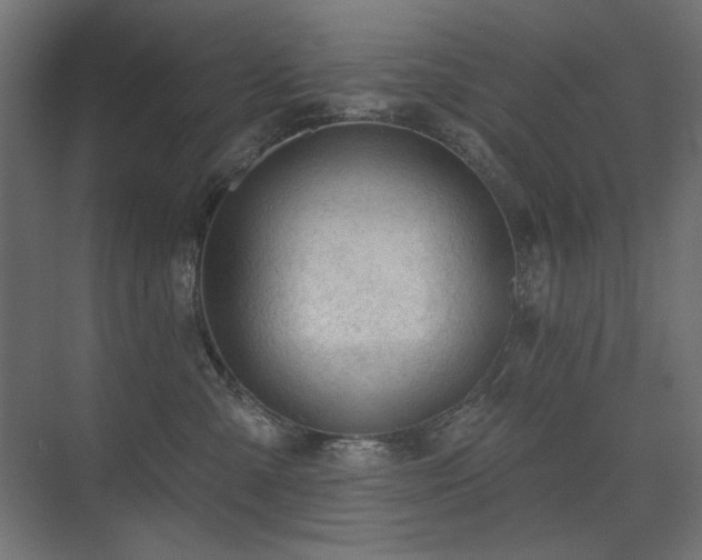 X0000075350427200609081154