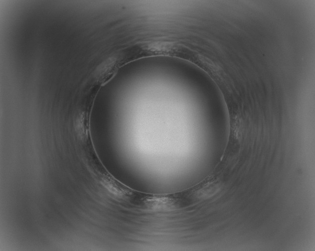 X0000075350428200609081154