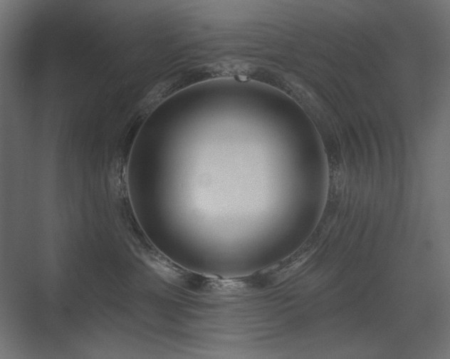 X0000075350429200609081154