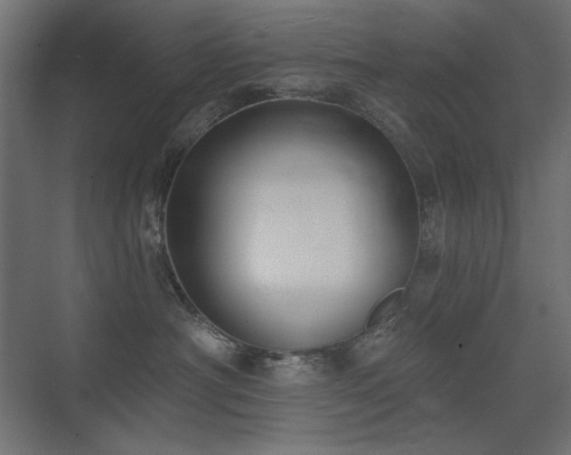 X0000075350430200609081154