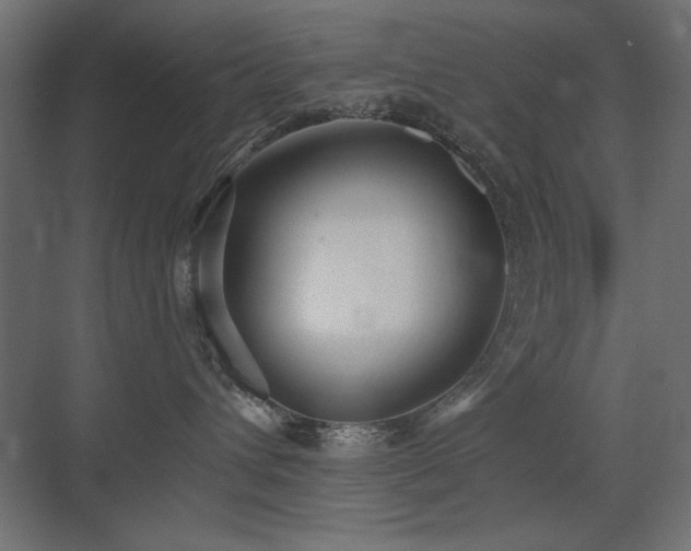 X0000075350432200609081154
