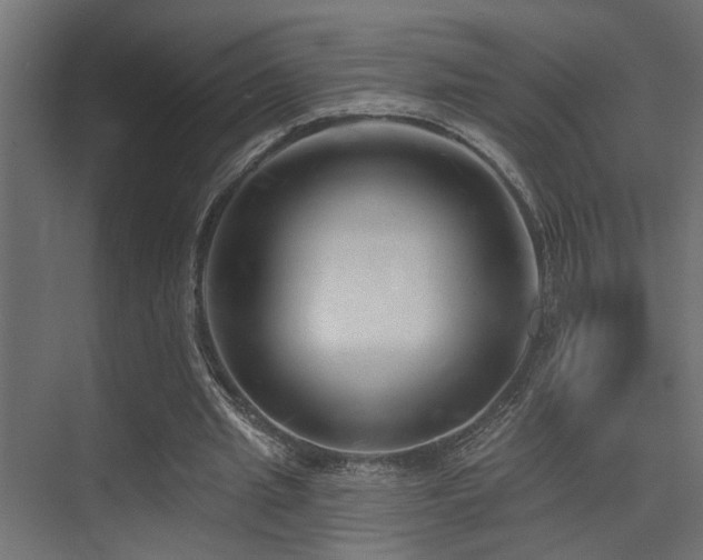 X0000075350437200609081153