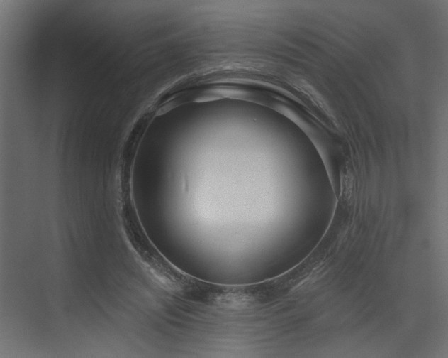 X0000075350444200609081153