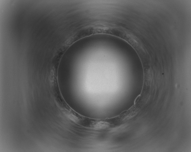 X0000075350463200609081154