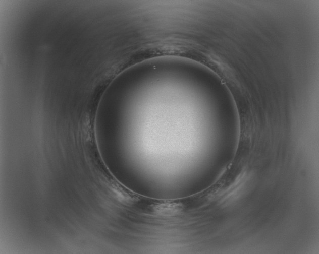 X0000075350465200609081154