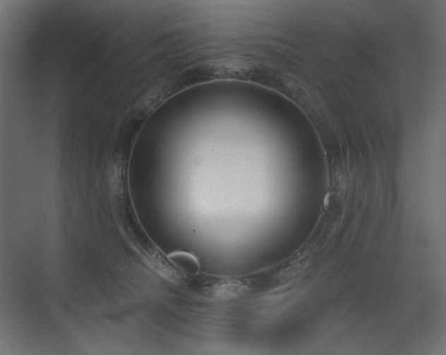 X0000075350468200609081154