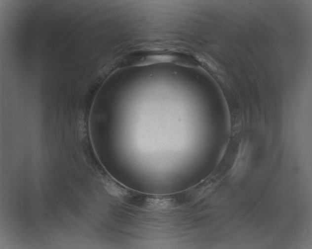X0000075350469200609081154