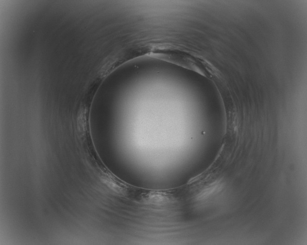 X0000075350475200609081154