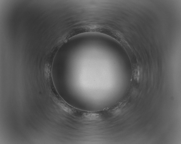 X0000075350476200609081154