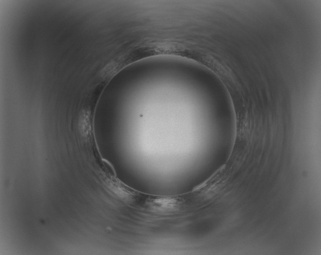 X0000075350478200609081154