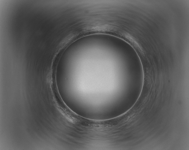 X0000075350486200609081153