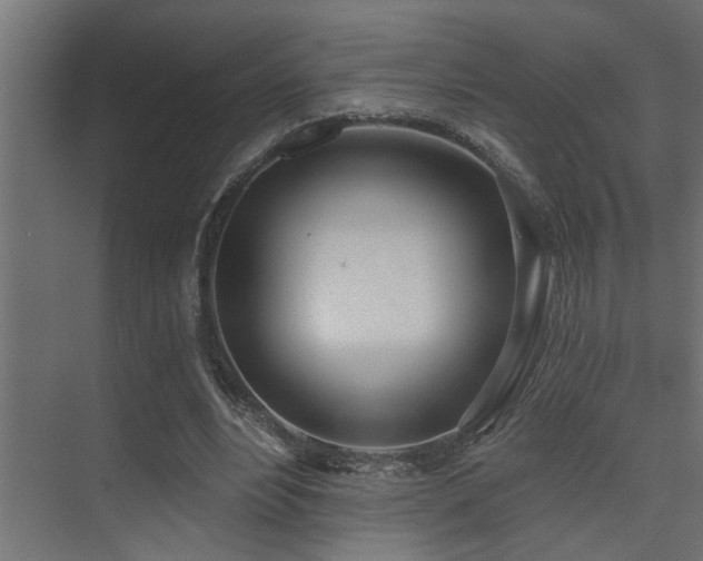 X0000075350488200609081153