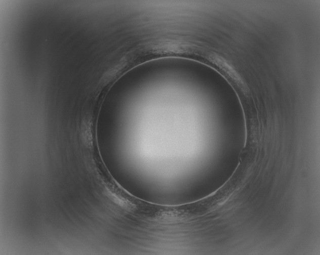 X0000075350489200609081153