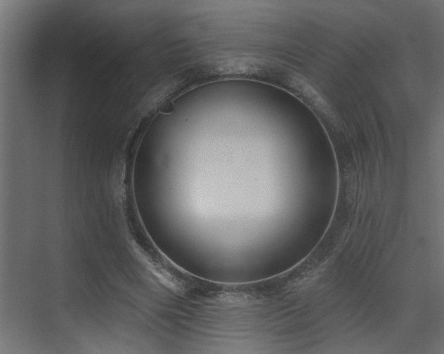 X0000075350490200609081153