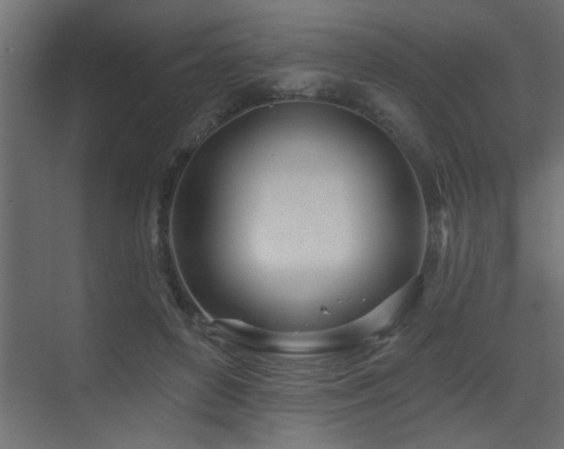 X0000075350504200609081153